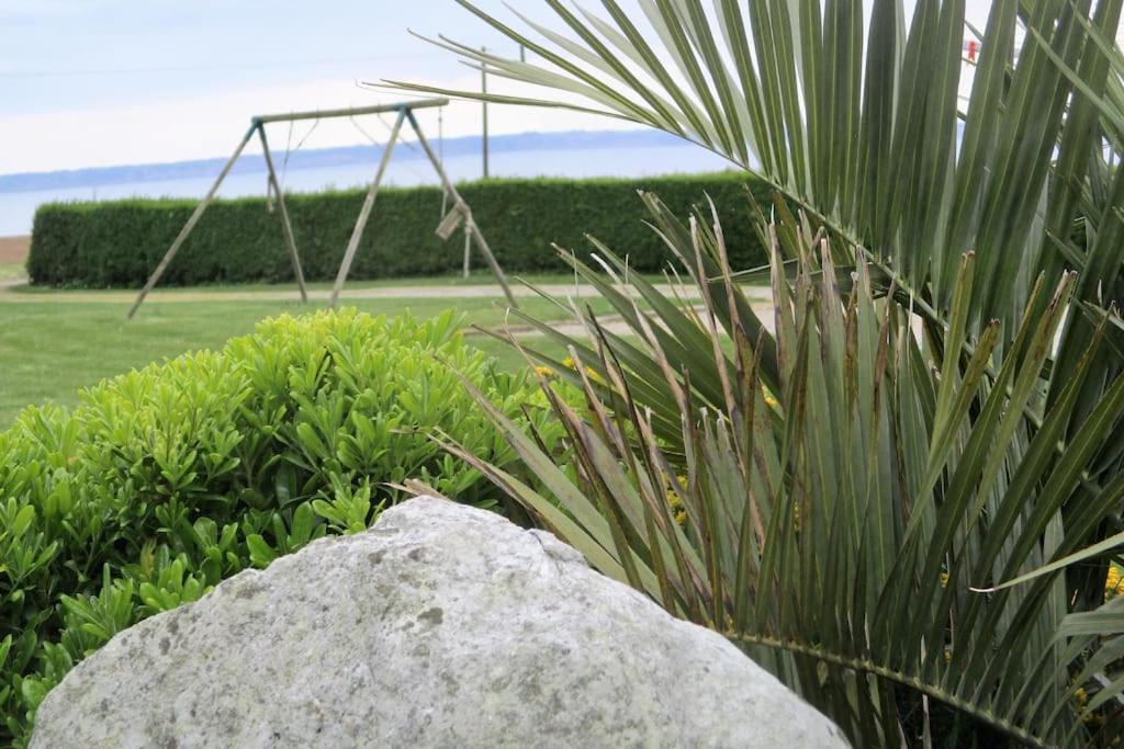 Gites Merour - Apartment Telgruc-sur-Mer